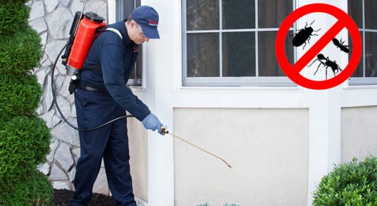 Manavkuyu Hamam Böceği İlaçlama böcek ilaçlama ve haşere kontrolü — ilaclama-tr.com